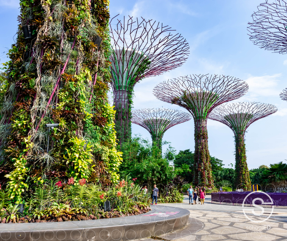 singapore 1